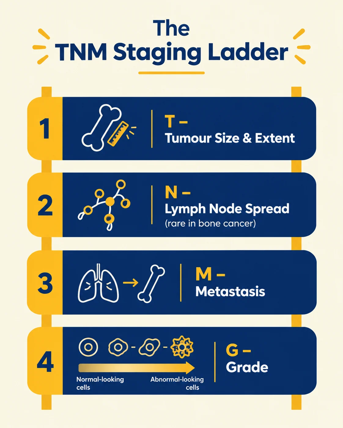 NM staging ladder infographic showing four bone cancer staging factors tumour size, lymph node spread, metastasis, and grade